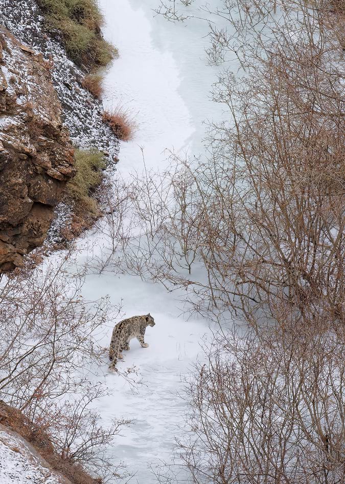 The Doksa Experience Wildlife Experience